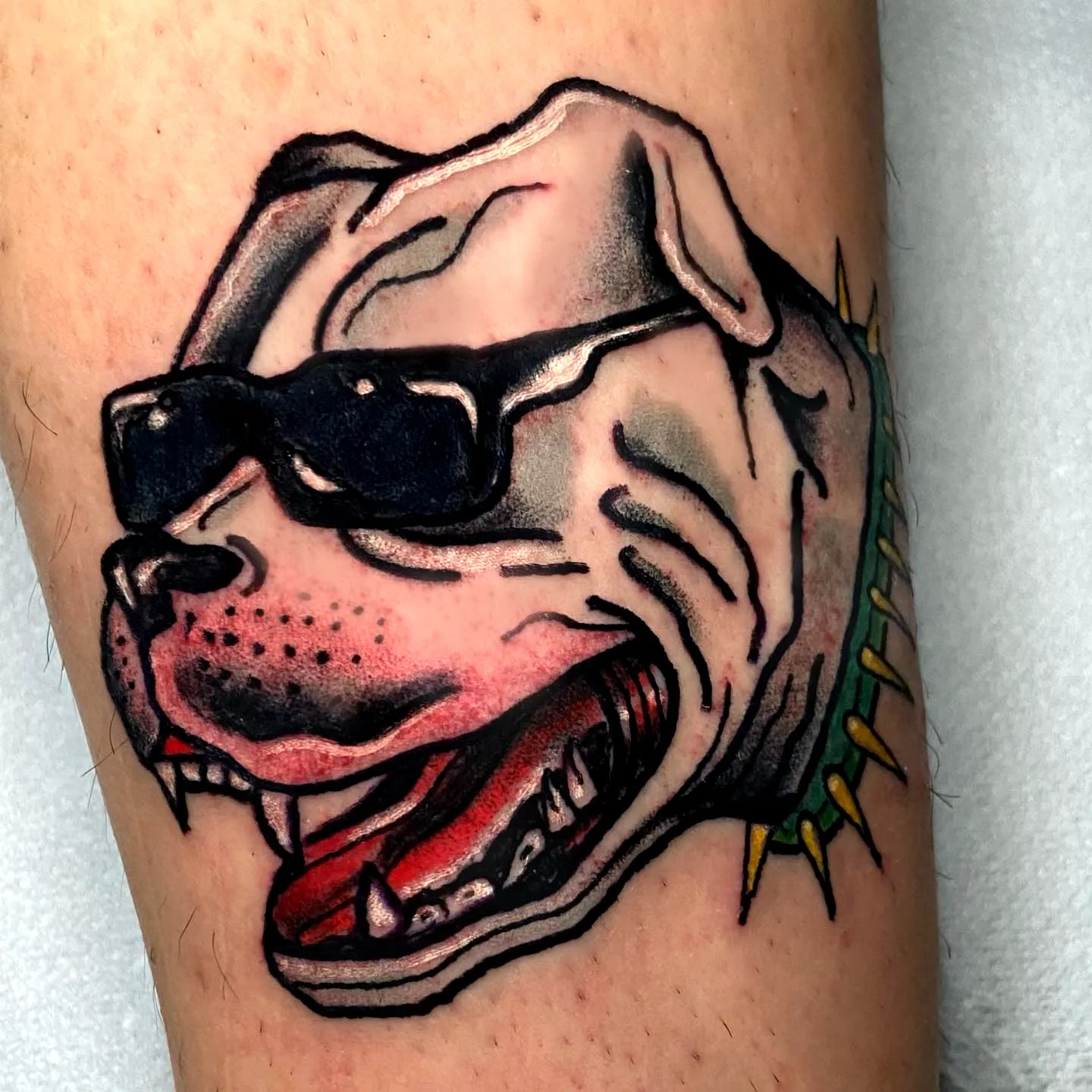 Pit Bull Head Tattoo on Skin