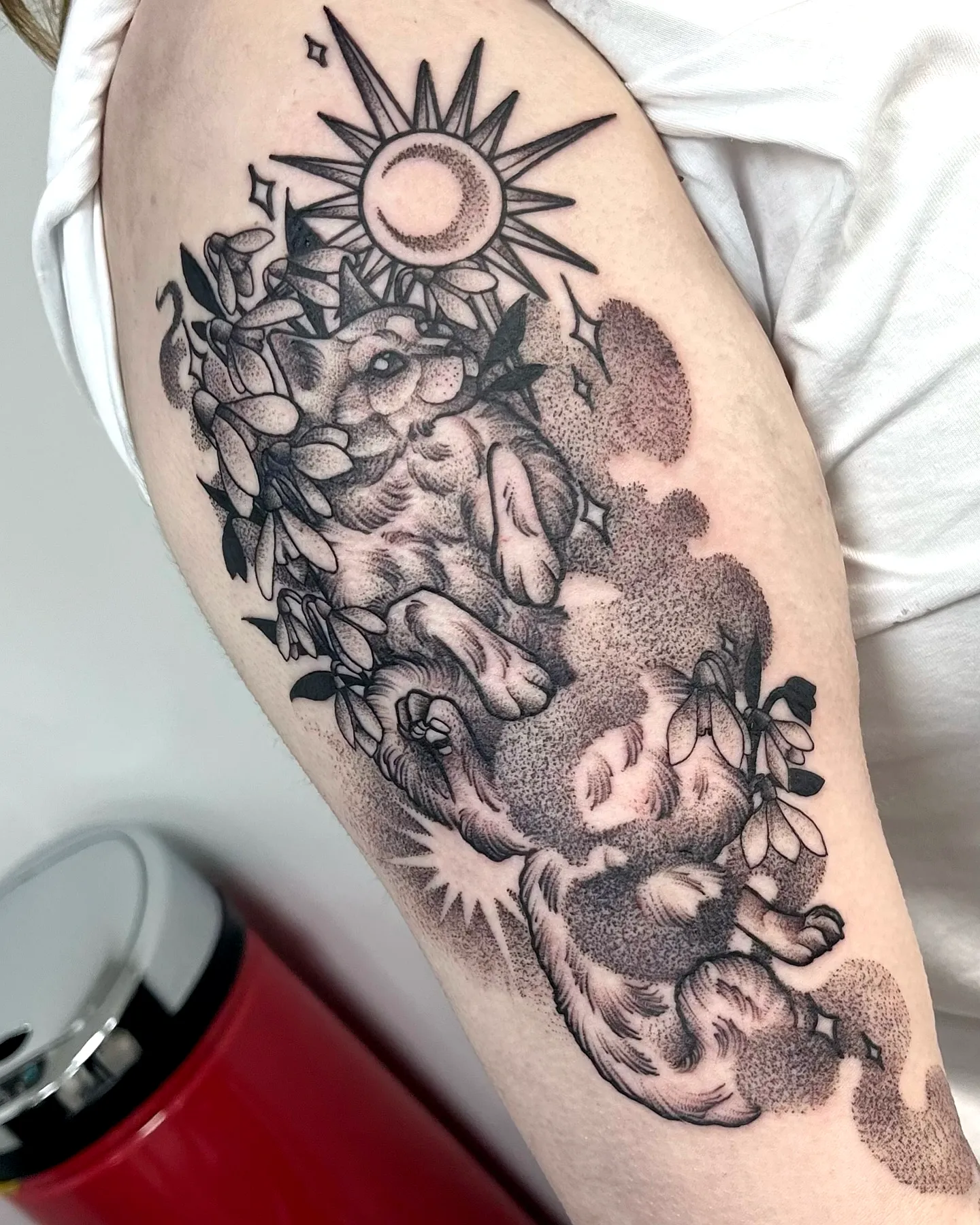 Playful Cats Upper Arm Tattoo