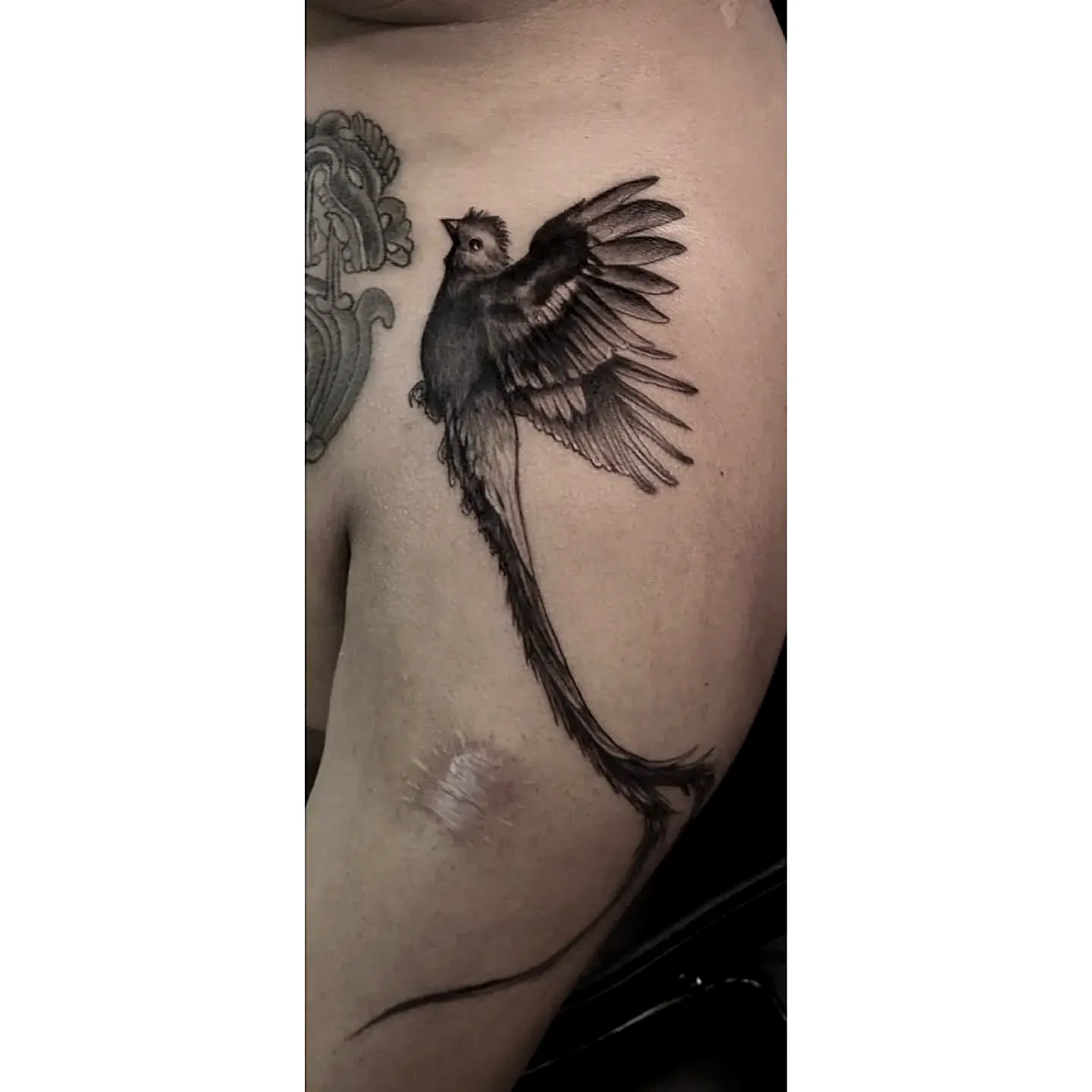 Quetzal Bird Upper Arm Tattoo