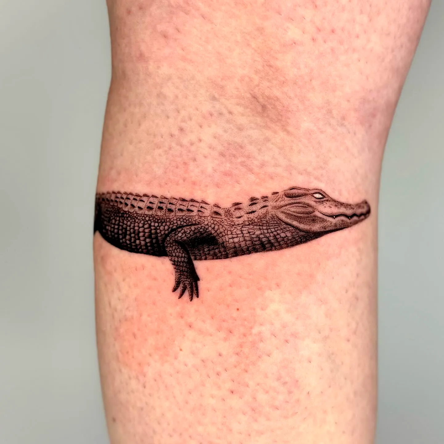 Realistic crocodile thigh tattoo