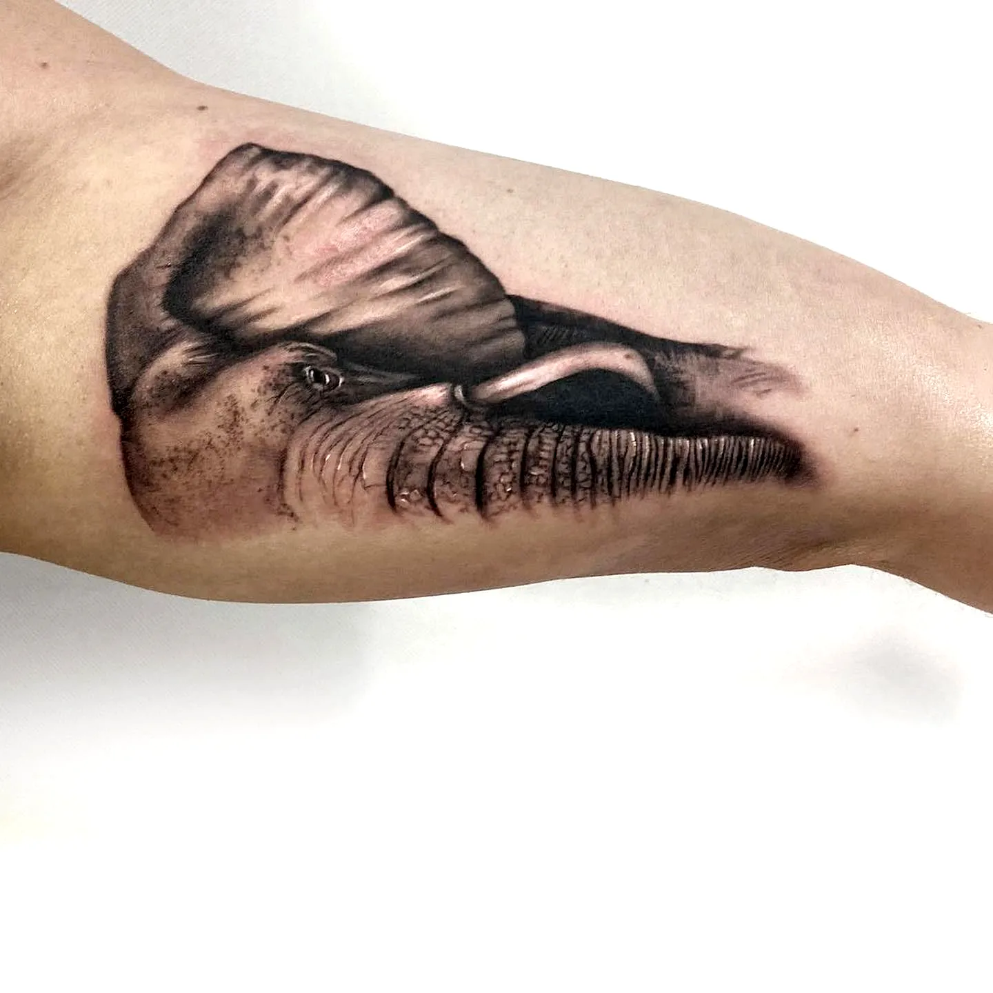 Realistic Elephant Upper Arm Tattoo
