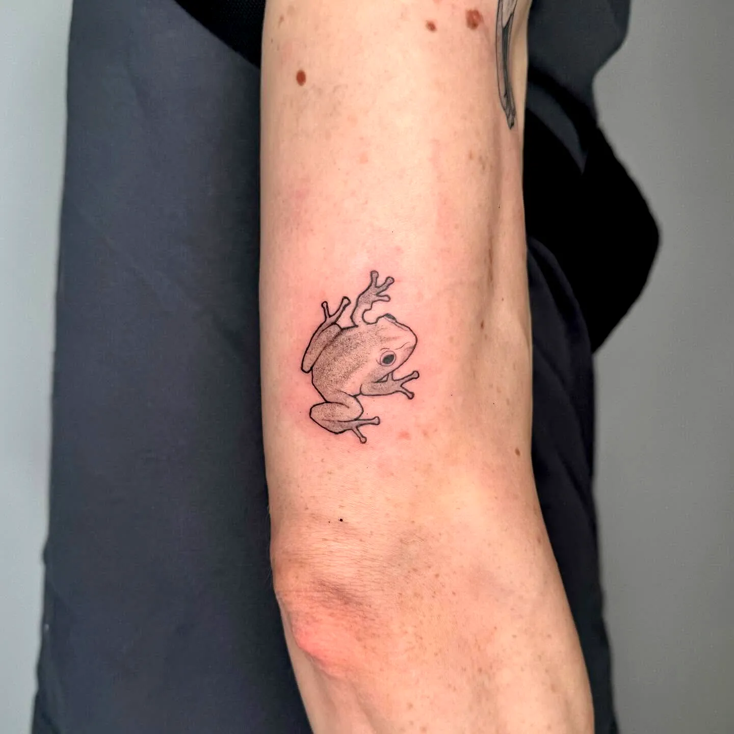 16 Unique Coqui Tattoo Ideas for Timeless Expression
