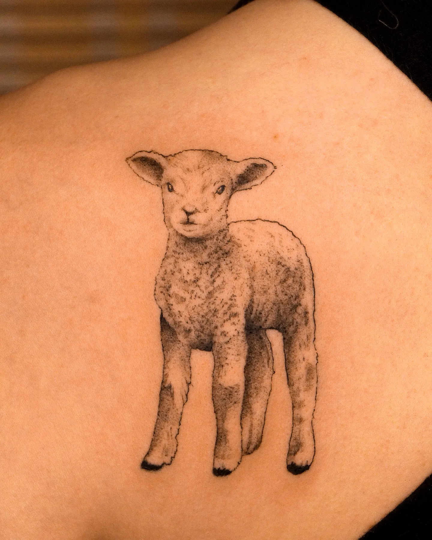 Realistic Lamb Shoulder Tattoo in Black Ink