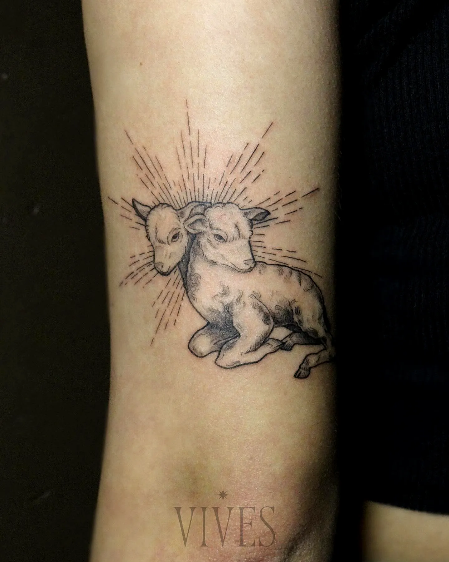 Realistic Lambs Calves Tattoo
