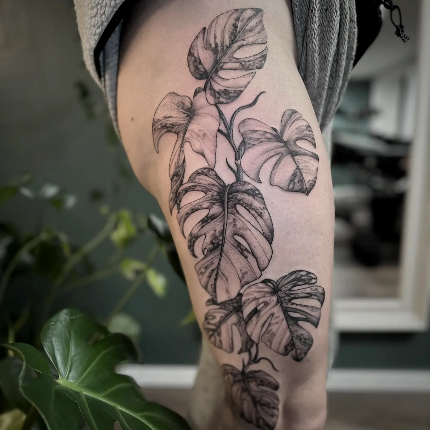 15+ Unique Monstera Tattoo Ideas for Bold Ink Lovers