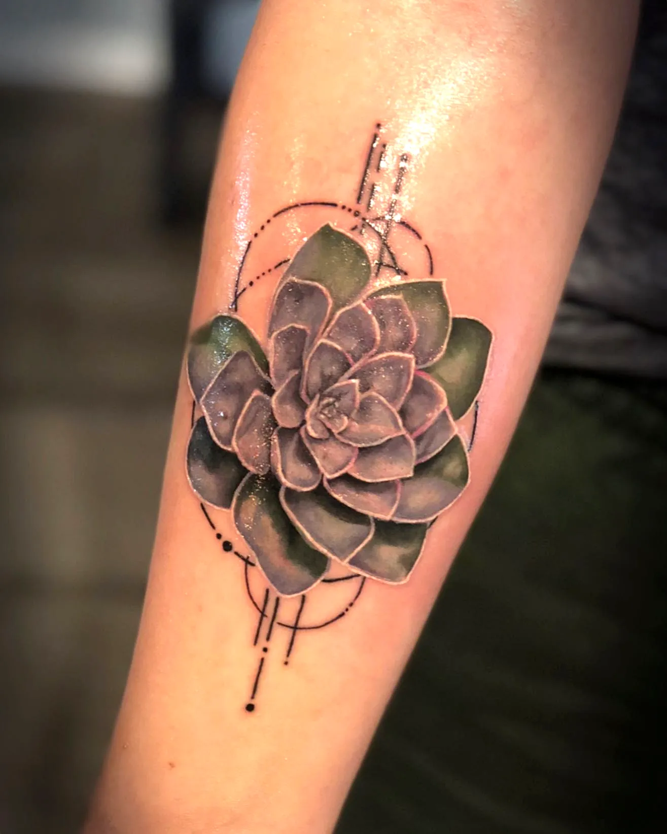 Realistic Succulent Forearm Tattoo