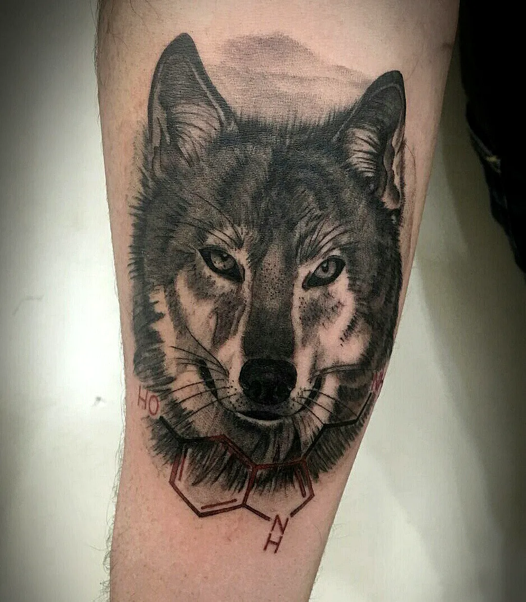 Realistic Wolf Forearm Tattoo with Science Elements
