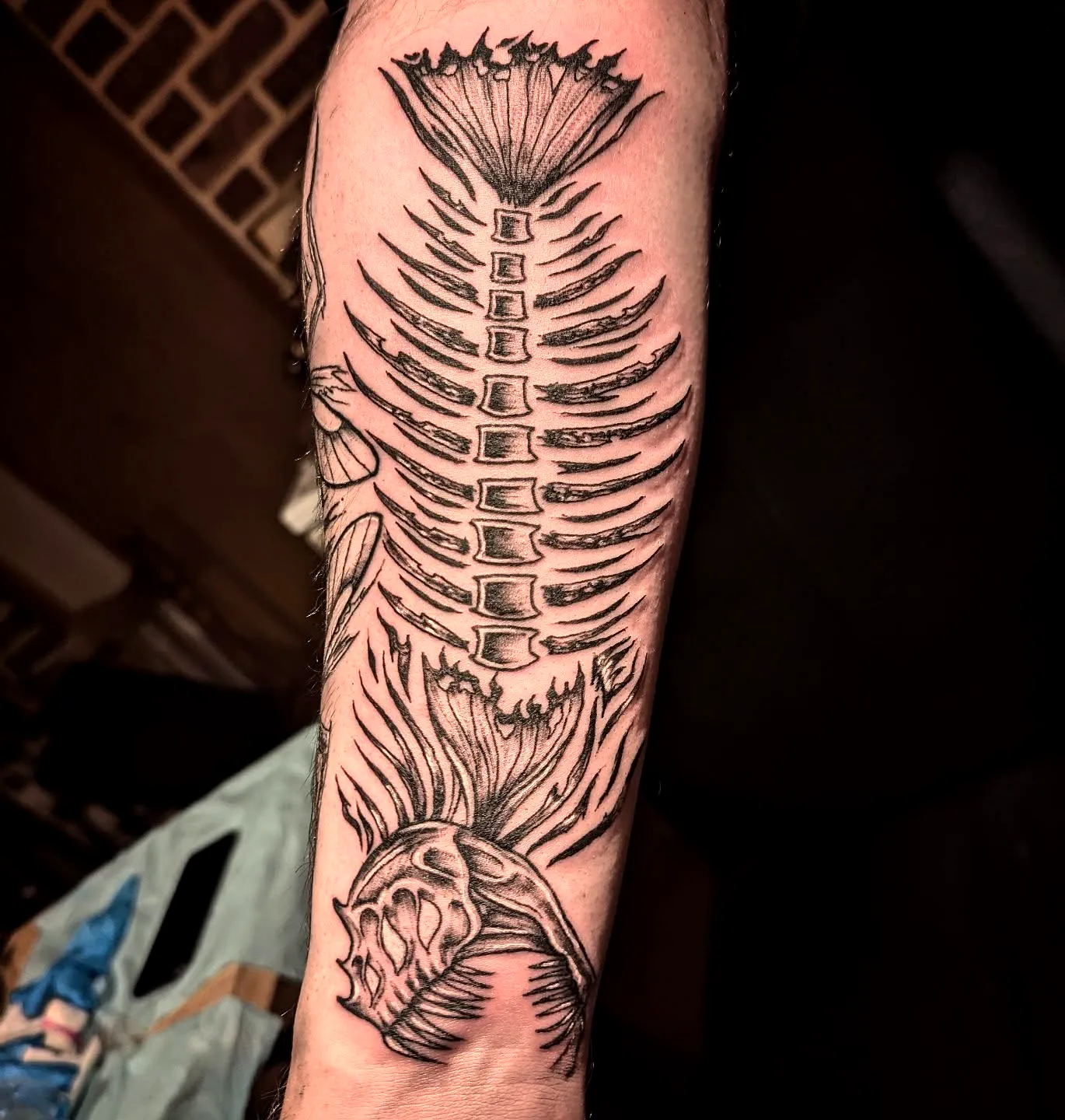 Ribcage Skeleton Forearm Tattoo