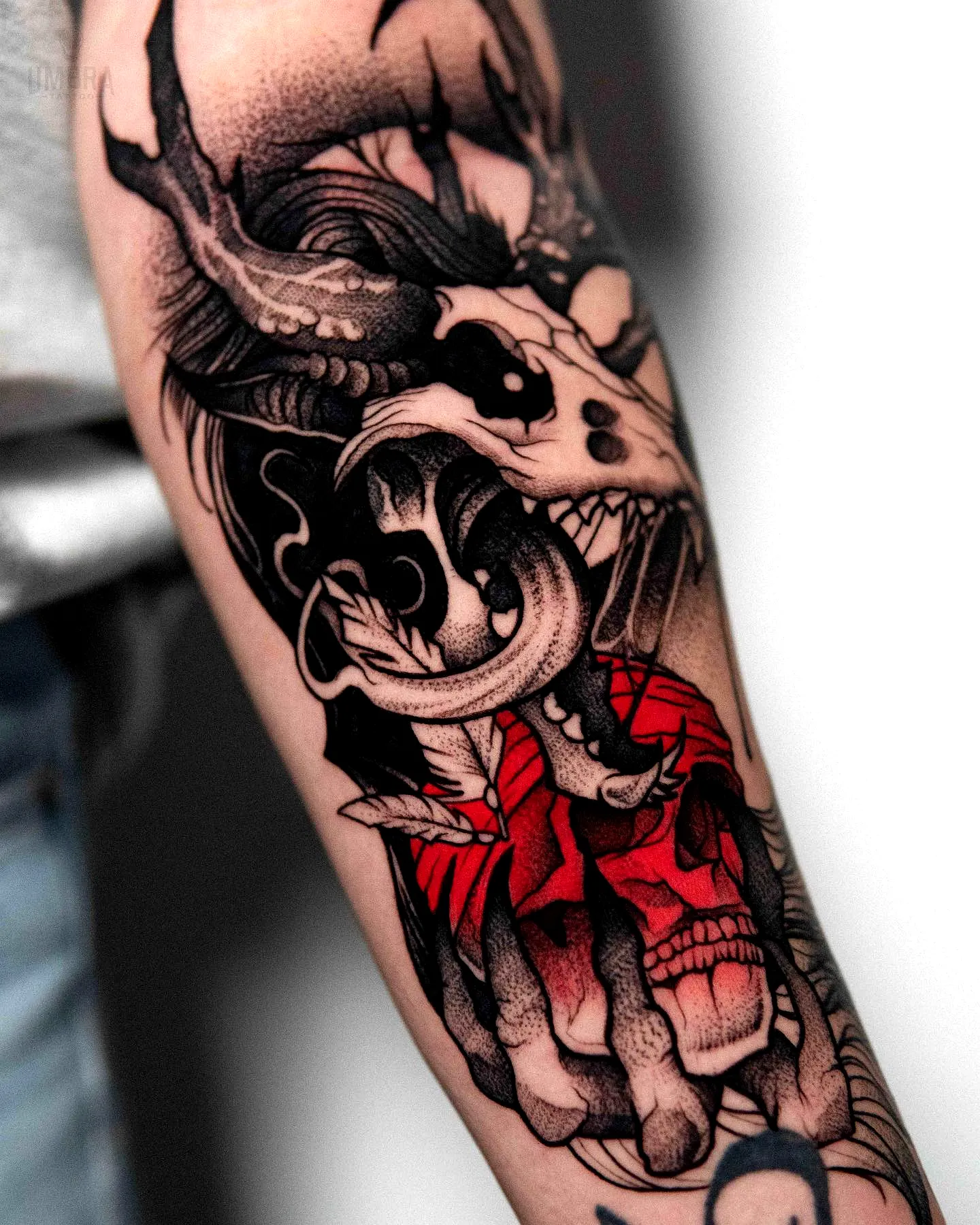 Skull Deer Antlers Forearm Tattoo