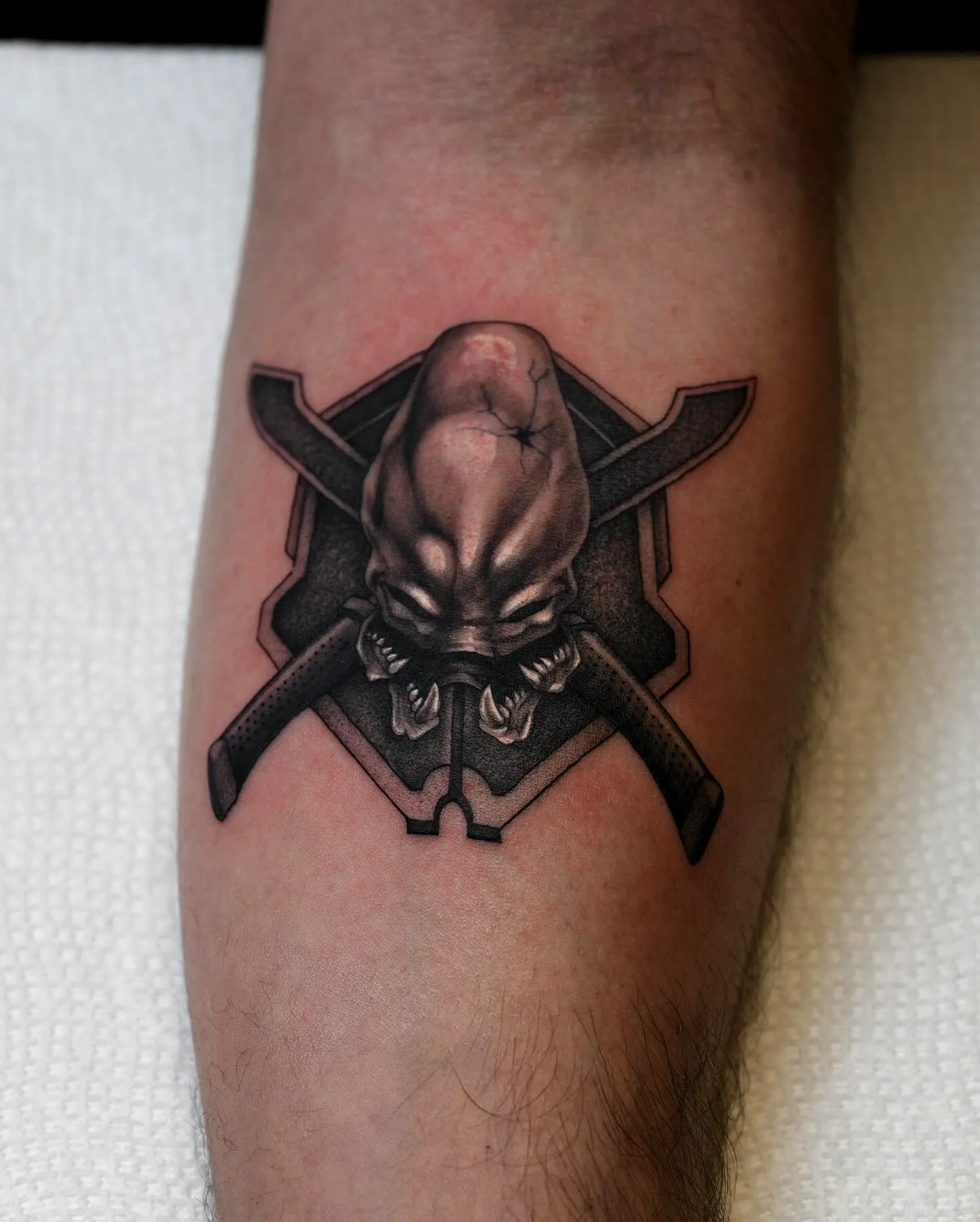 Skull Shield Tattoos on Arm