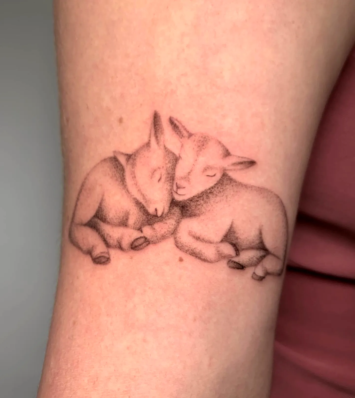Sleeping Lambs Forearm Tattoo