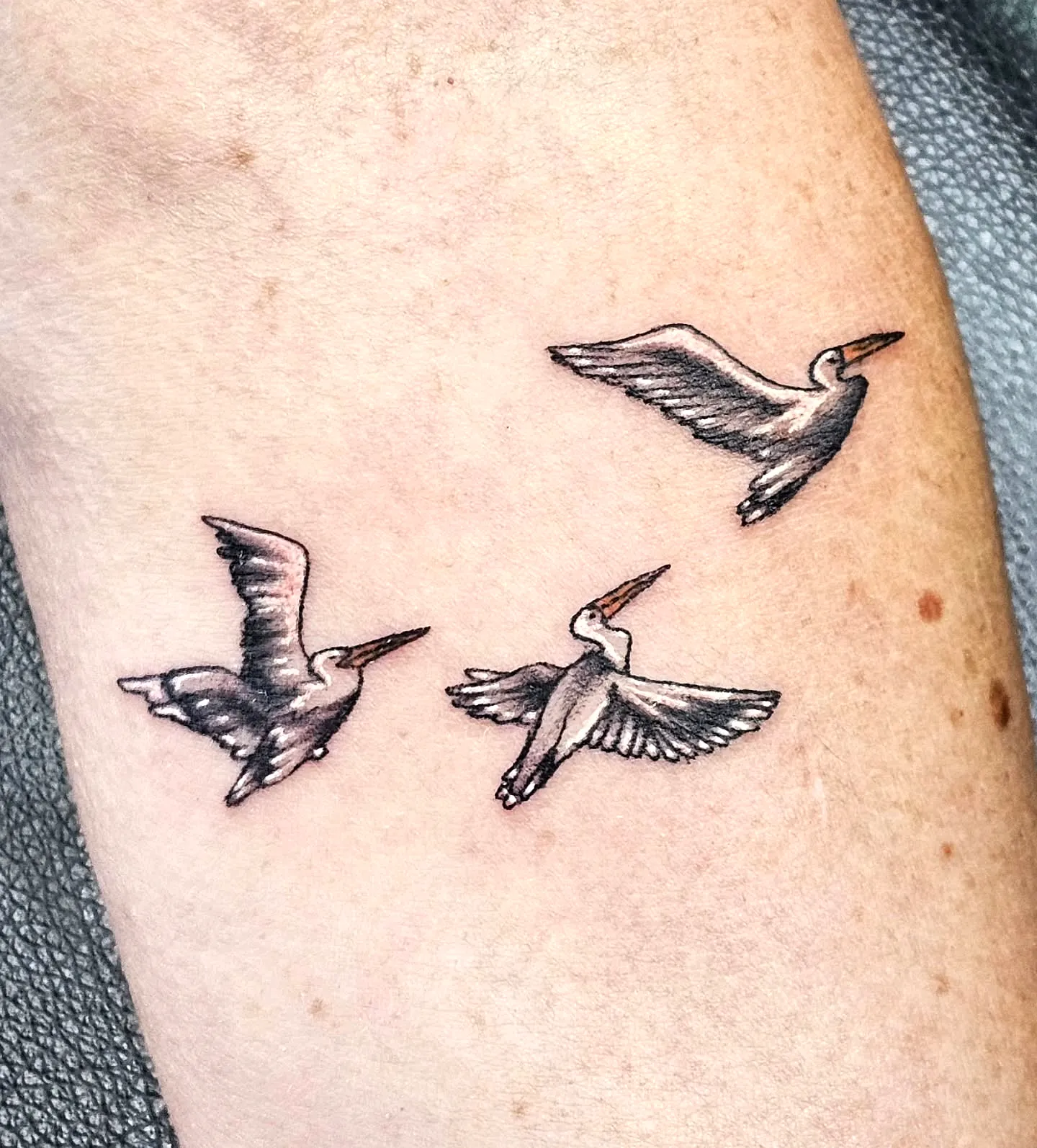 Stylized Birds Forearm Tattoo