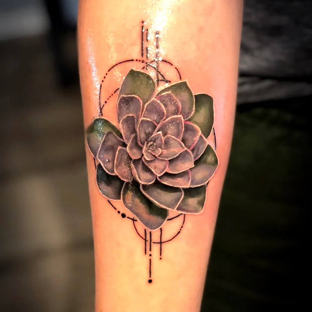 Succulent Forearm Tattoo with Geometric Elements