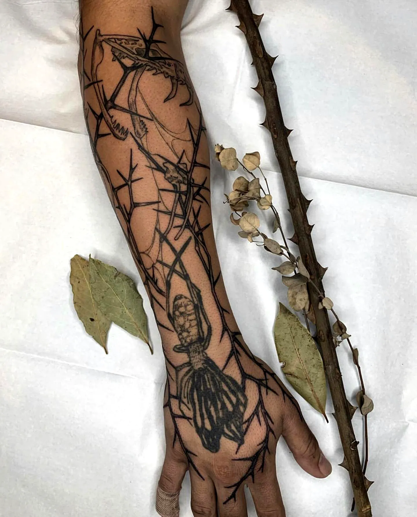 15 Bold Thorn Tattoos Ideas for a Striking Statement