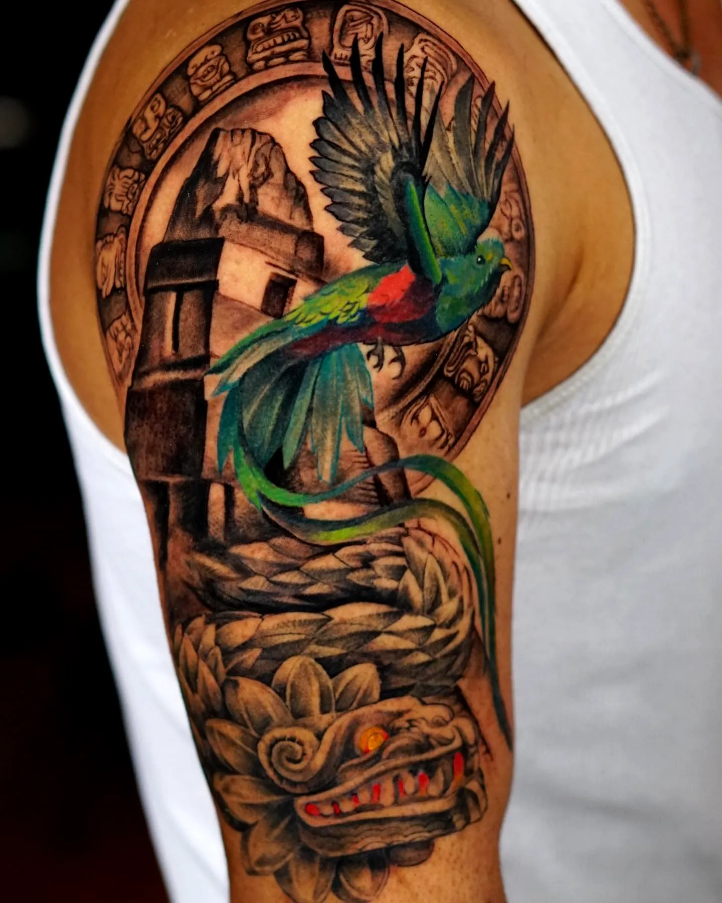 Vibrant Parrot Upper Arm Tattoo