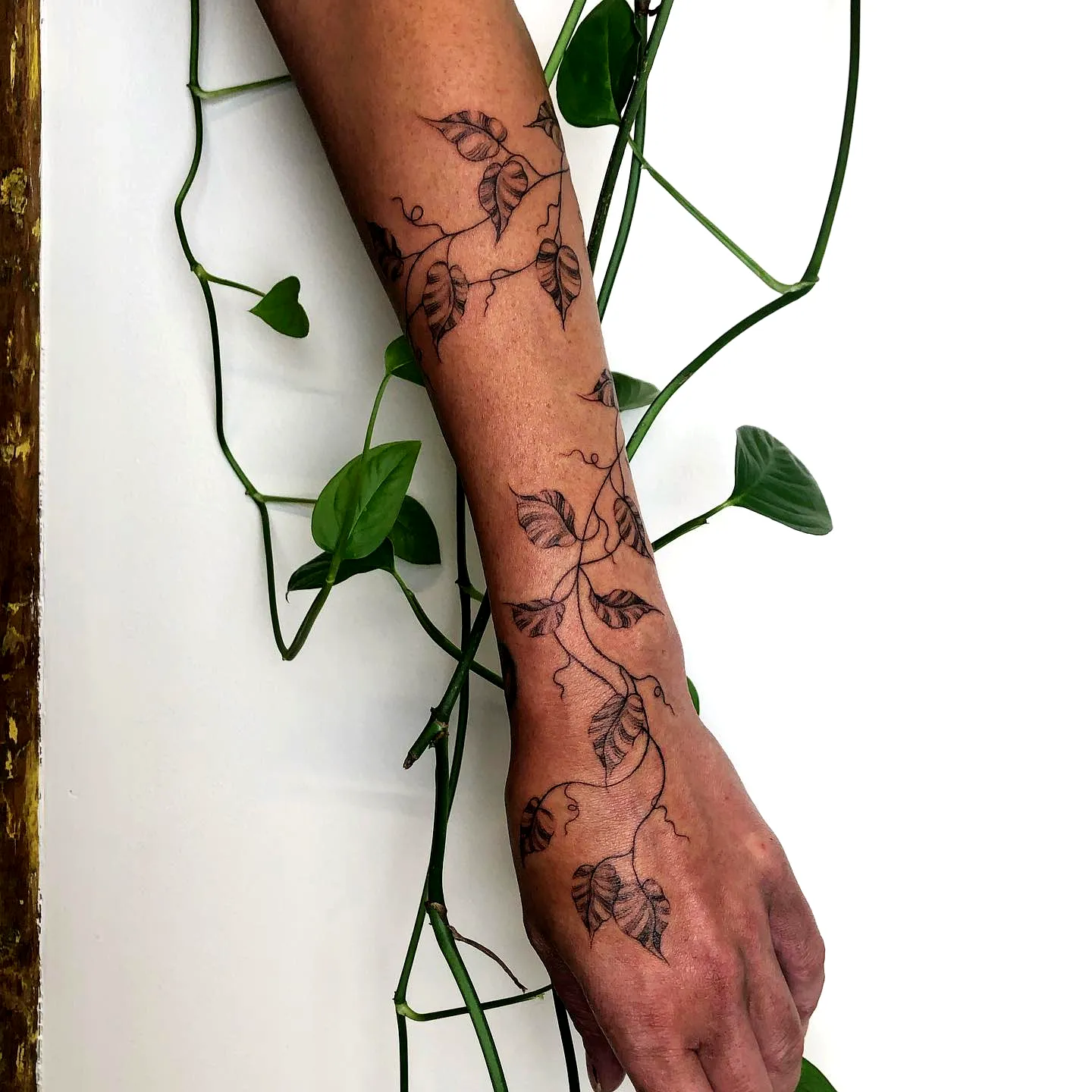 Vines Forearm Tattoo in Black Outline