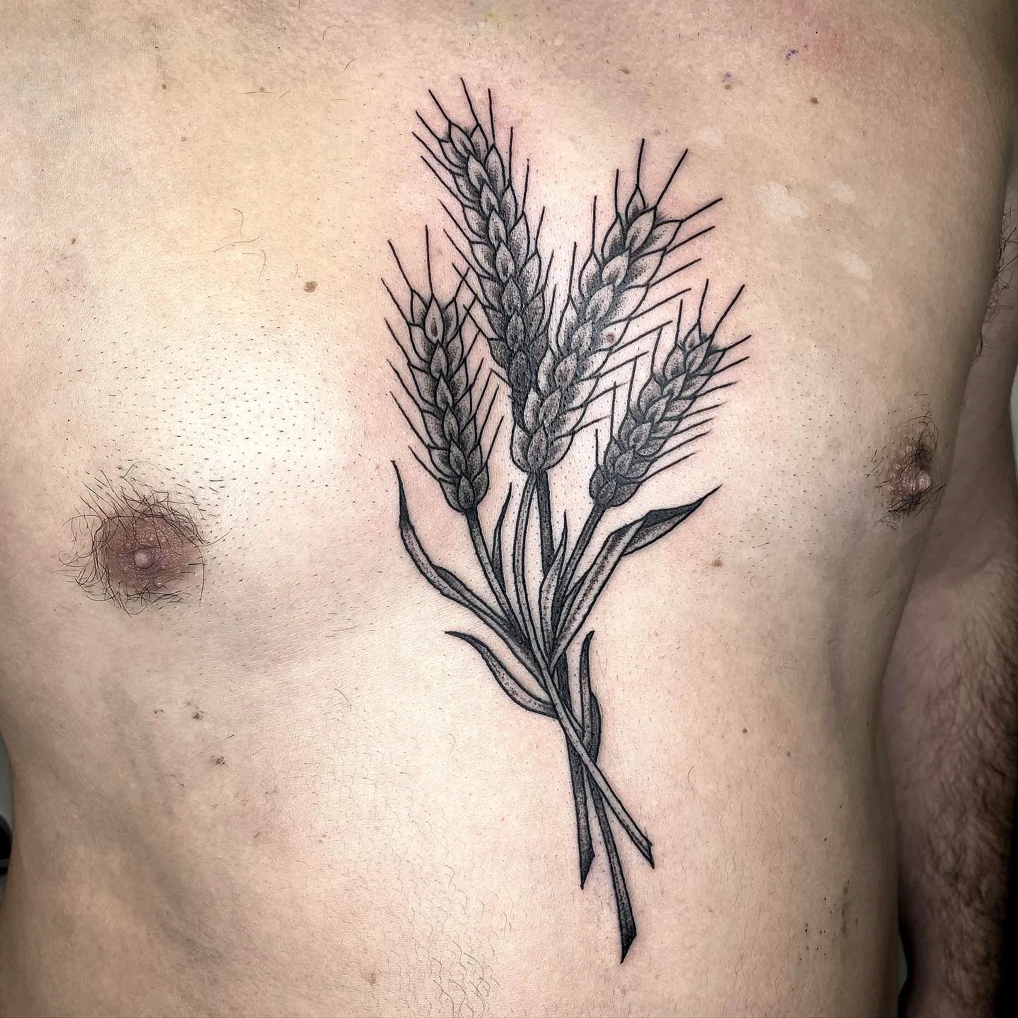 Wheat Chest Tattoo in Black Ink