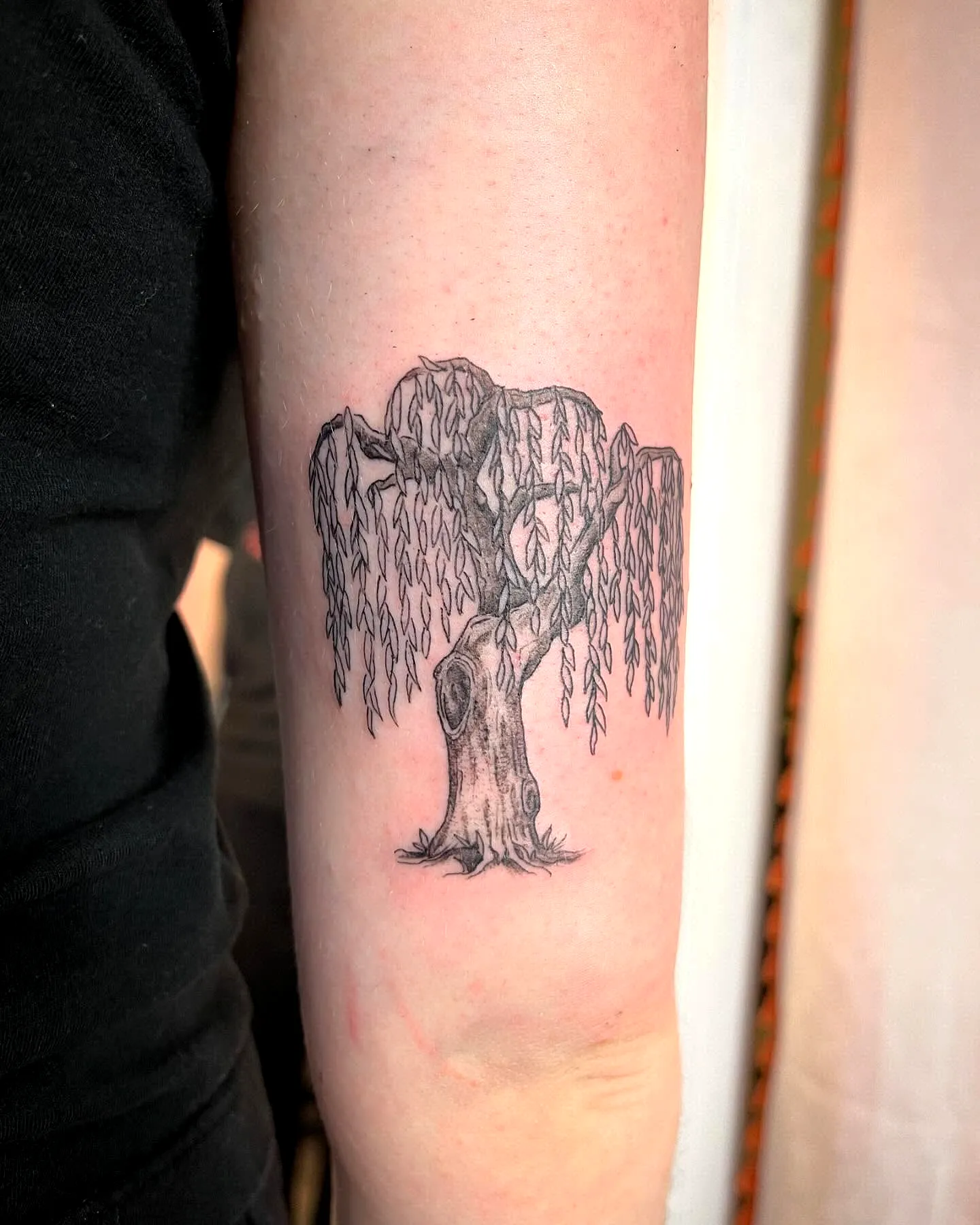 Willow Forearm Tattoo in Black and Gray