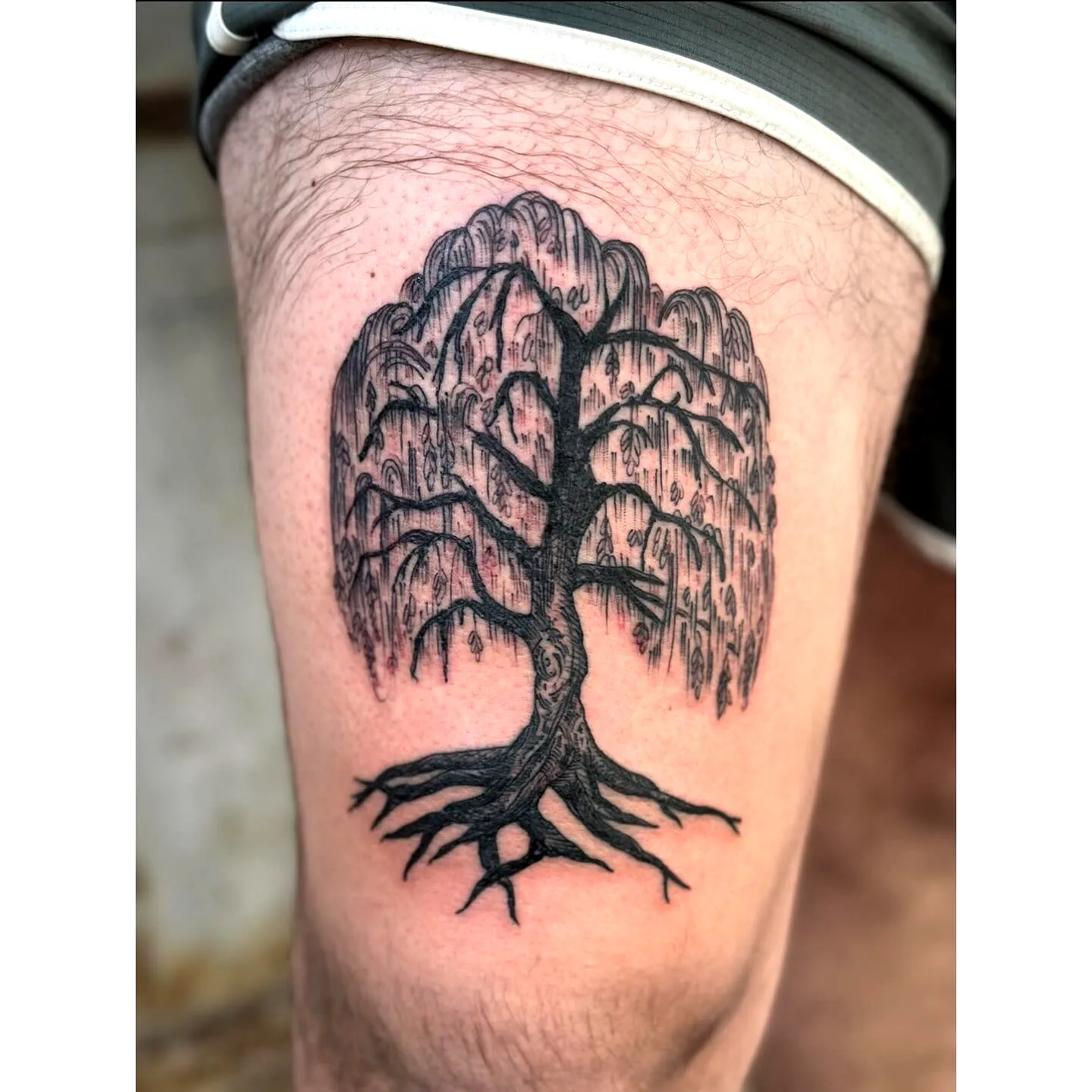 Willow Tree Thigh Tattoo Design