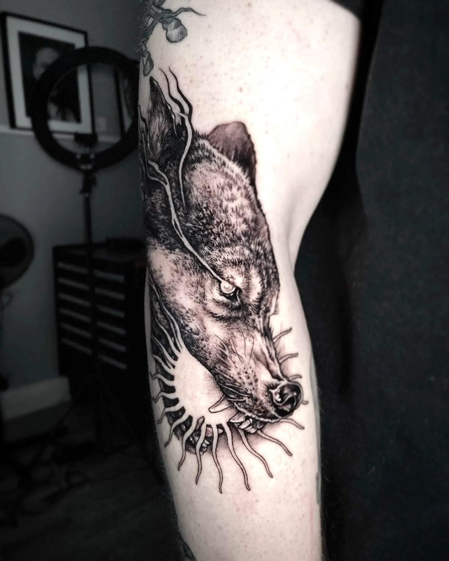 Wolf Upper Arm Tattoo with Sun Elements