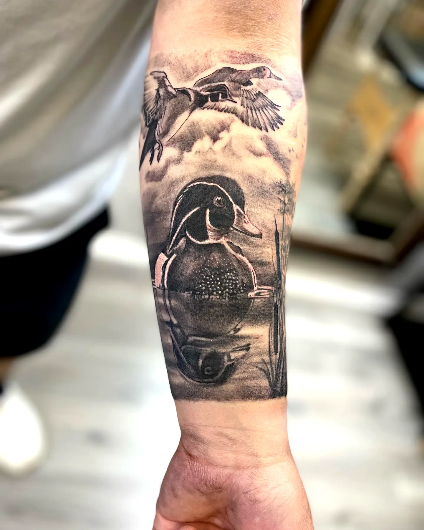 Wood Duck Forearm Grayscale Tattoo